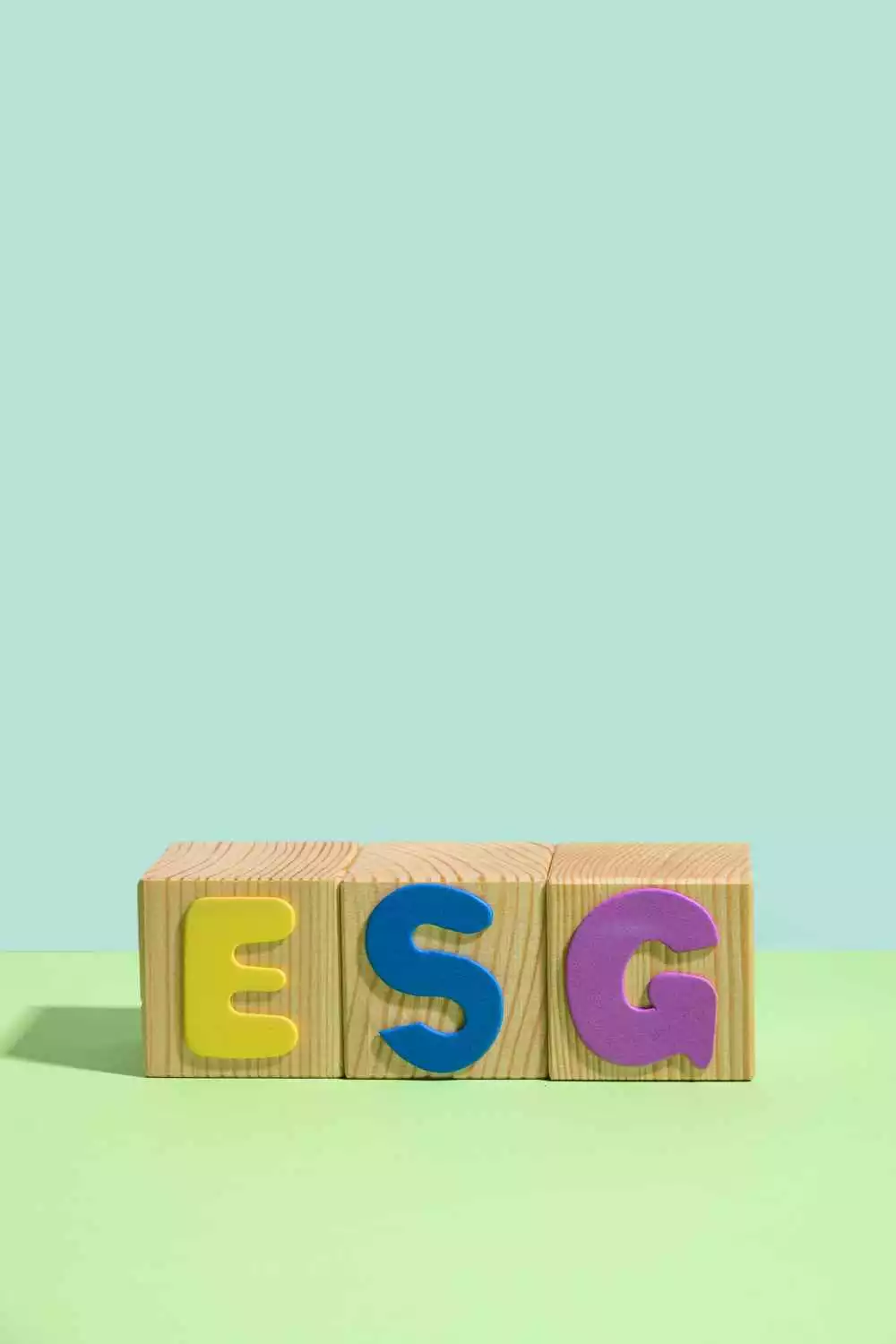 ESG politika - certifikácia, komplexné služby
